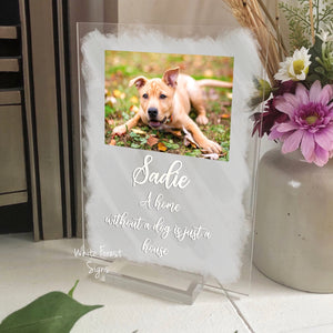 Personalised pet photo gift